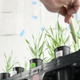 Illustration for article titled Biologists Say Breeding Better Soil Microbes Can Help Grow Bigger Plants